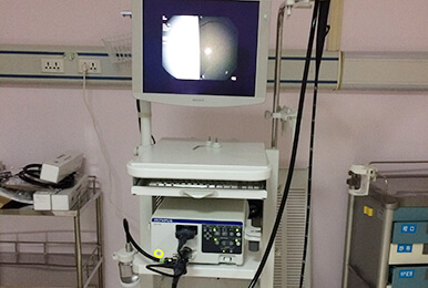 Electronic Endoscope System