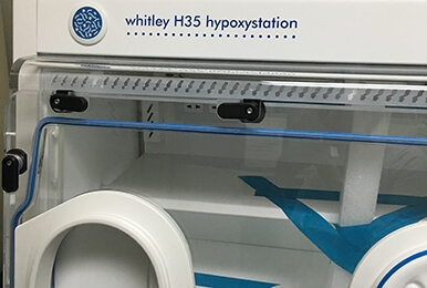 H35 Hypoxia Workstation